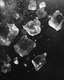 Electrolytes Explained: What Sodium, Magnesium, and Potassium Actually Do